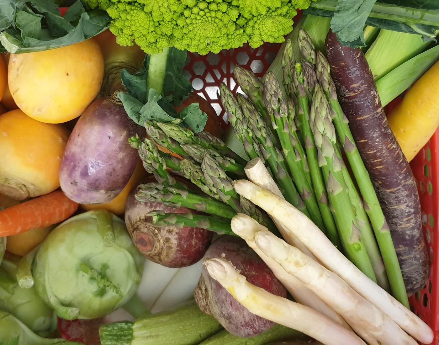 Légumes frais- produits bruts- La Caravelle