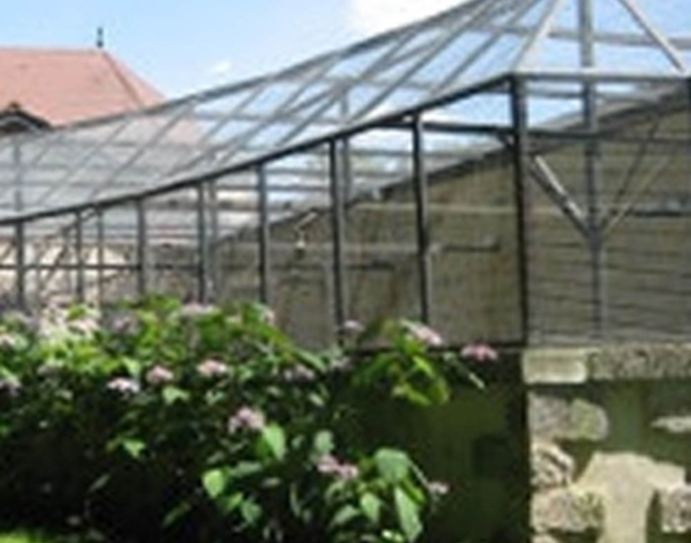 La volière installée dans l'ancien chenil