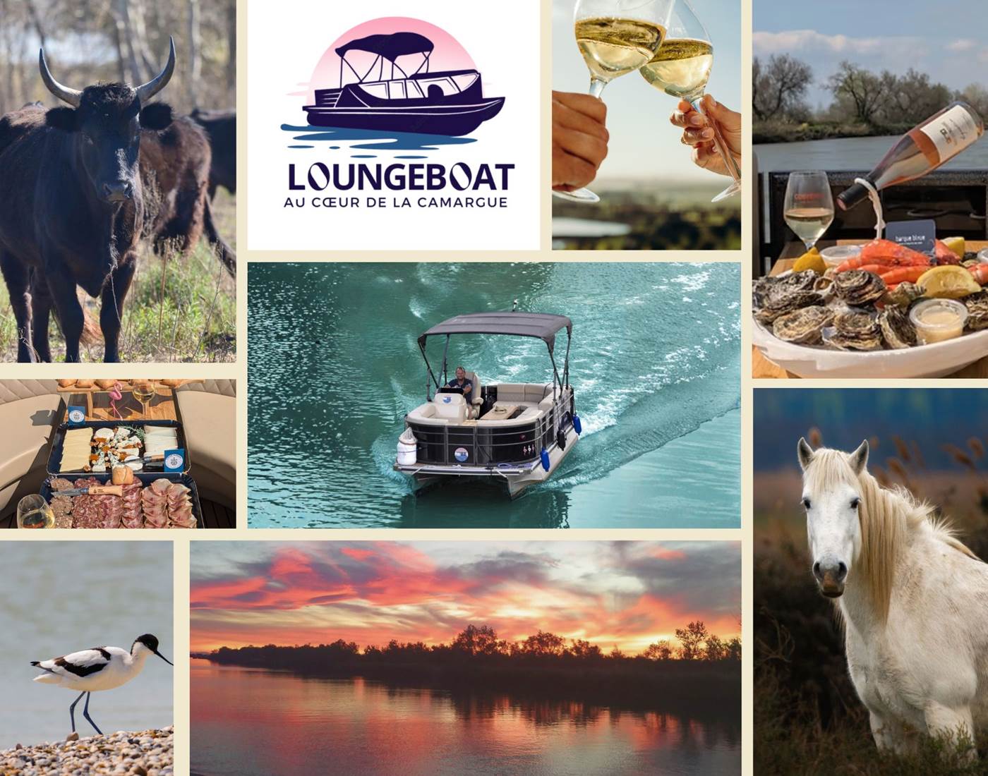 Balade en bateau - Loungeboat Camargue