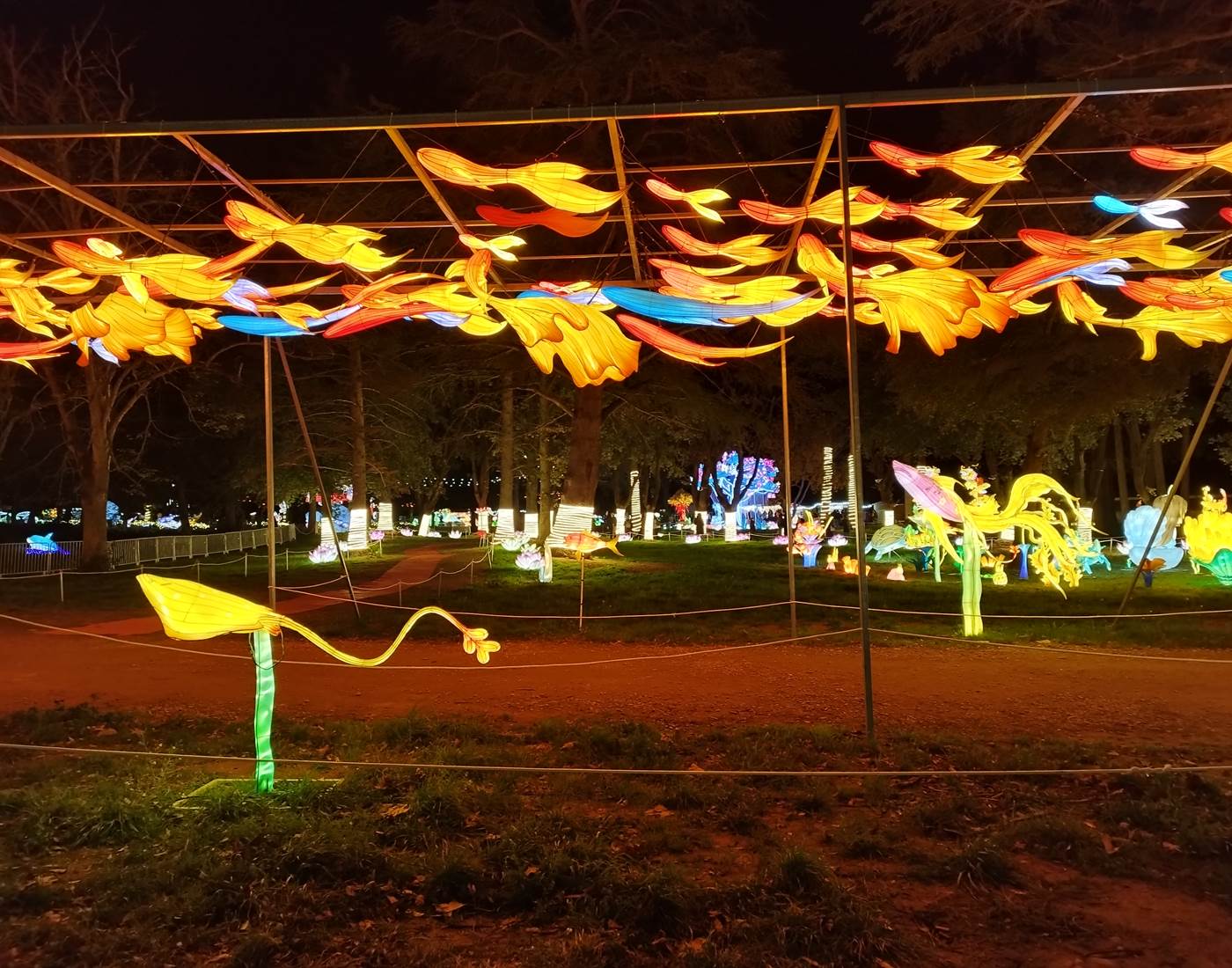 Les Splendeurs de Chine à Céret