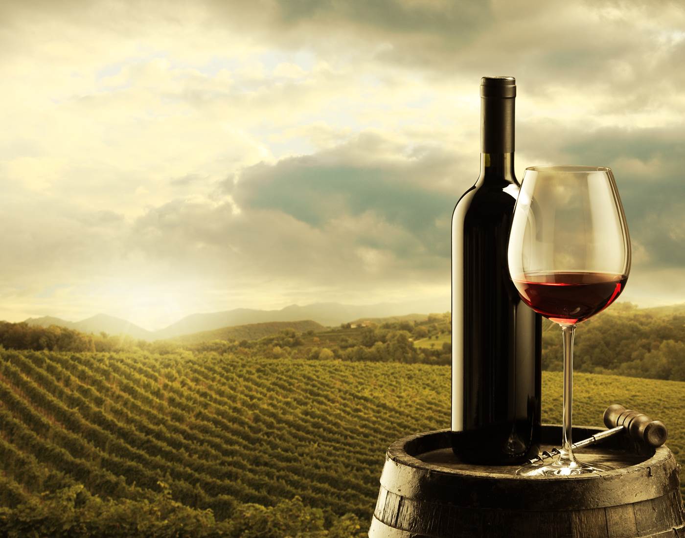 Vignobles et terroir