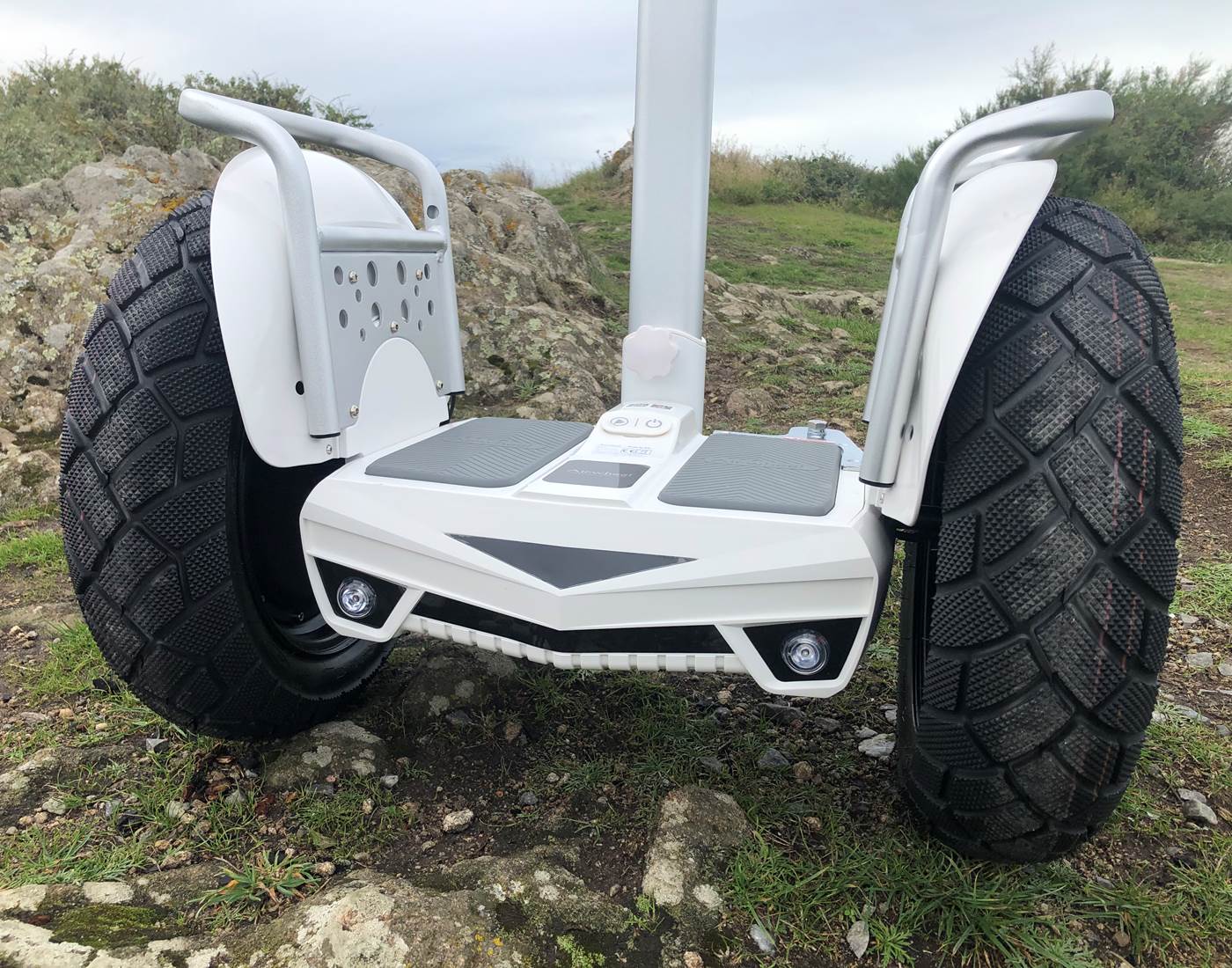 gros plan vue arriere