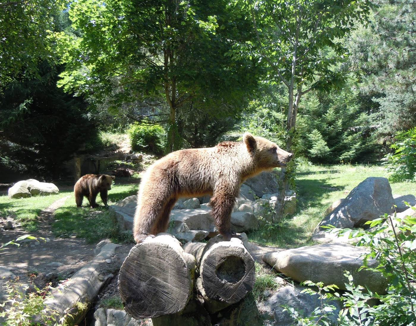 Le parc animalier d'Argelès-Gazost-page