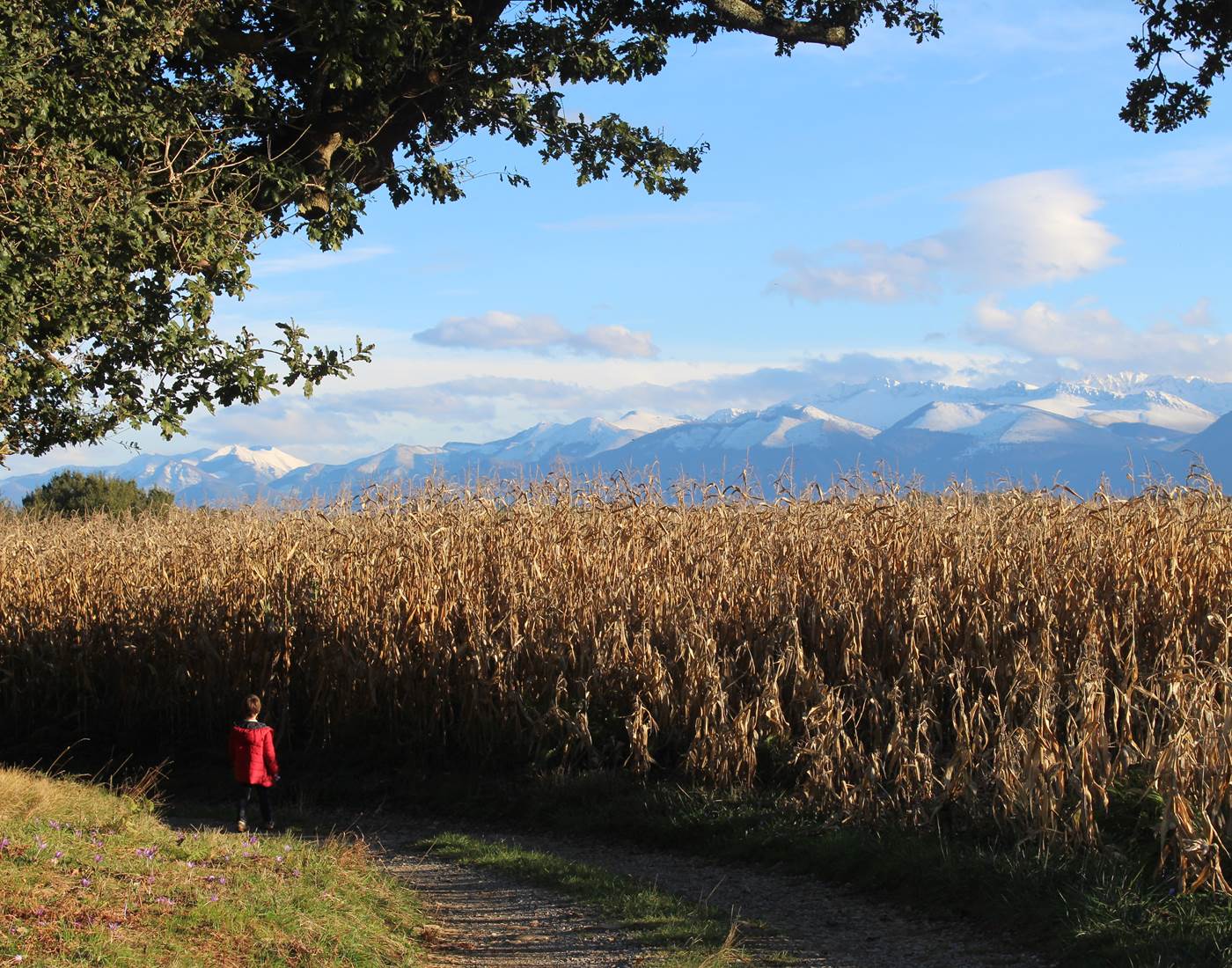 58 près d'Aquabéarn