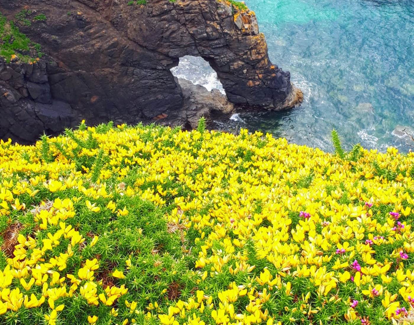 chambre-hotes-bretagne-cap-frehel-dinan