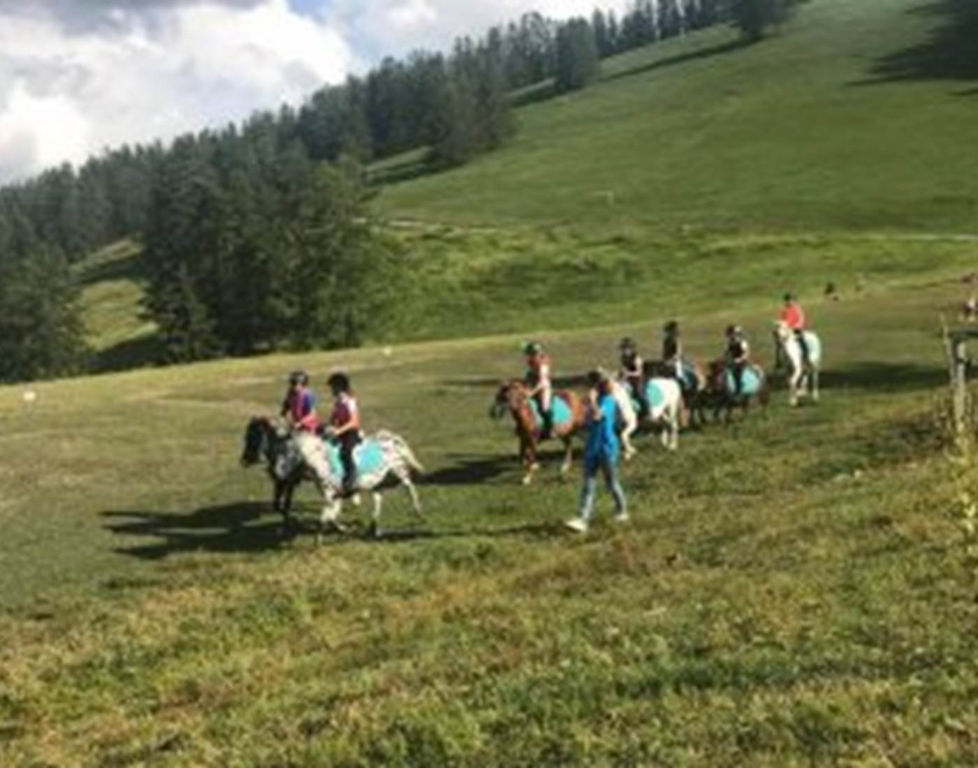 Cheval les écuries de la moute