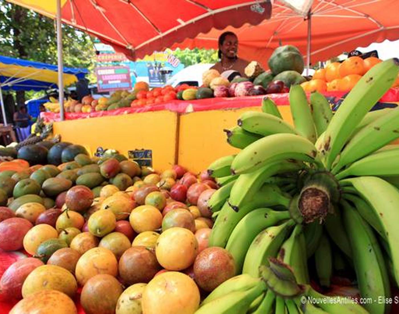 marché-sainte-anne-guadeloupe