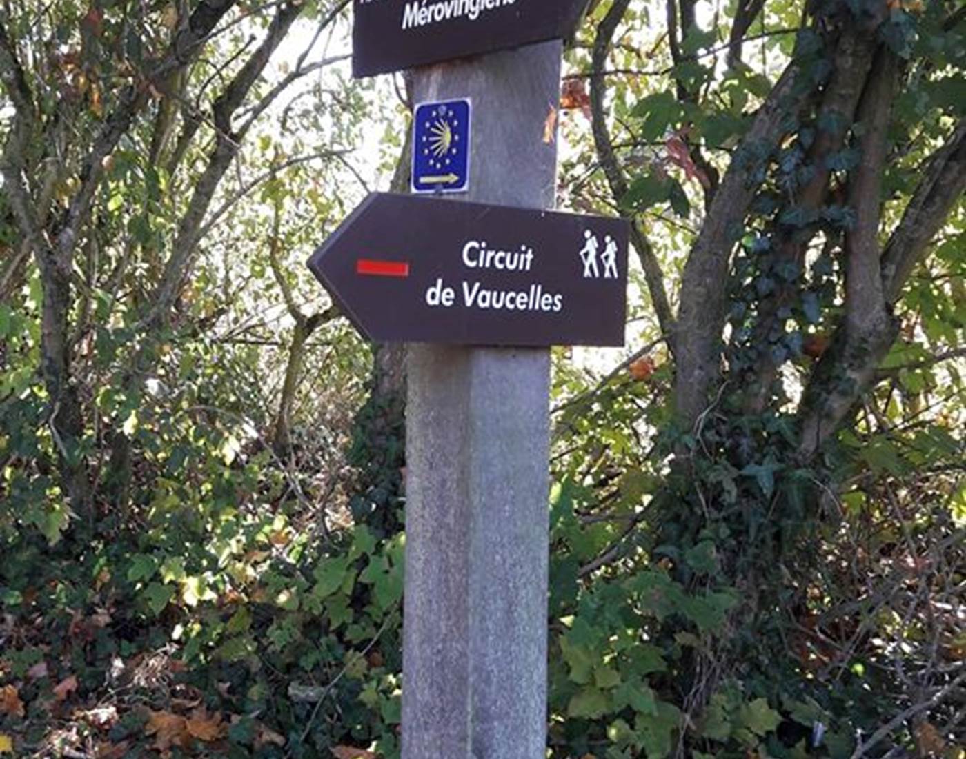 Randonner sur les sentiers balisés