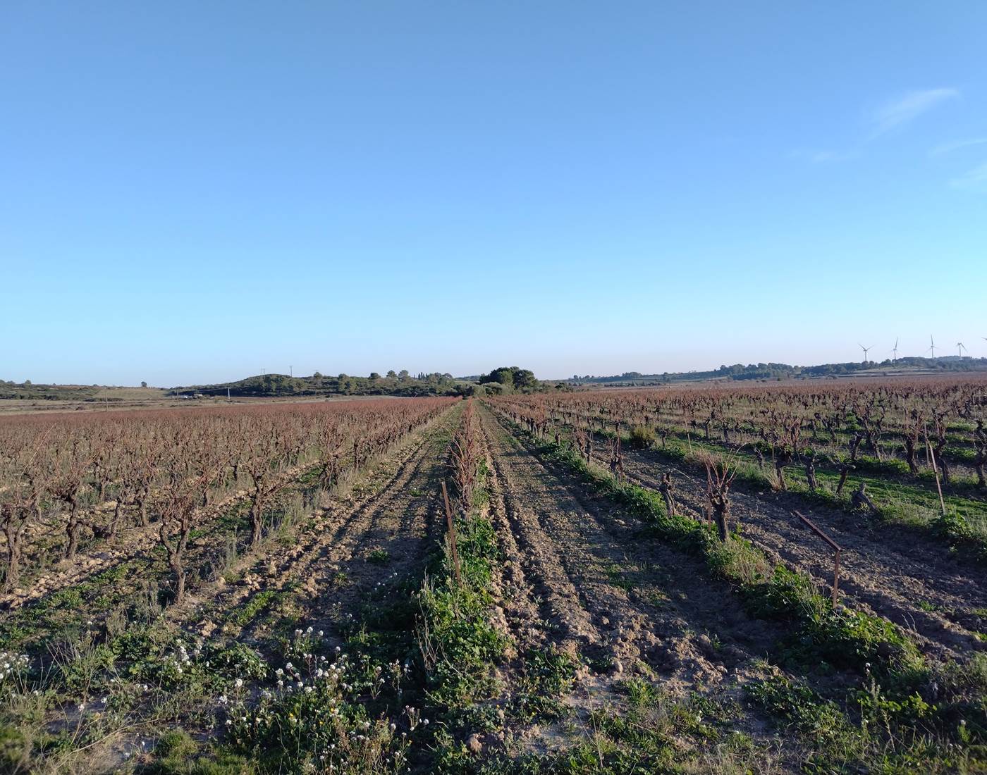 Se ressourcer dans la nature pour célébrer l'Amour