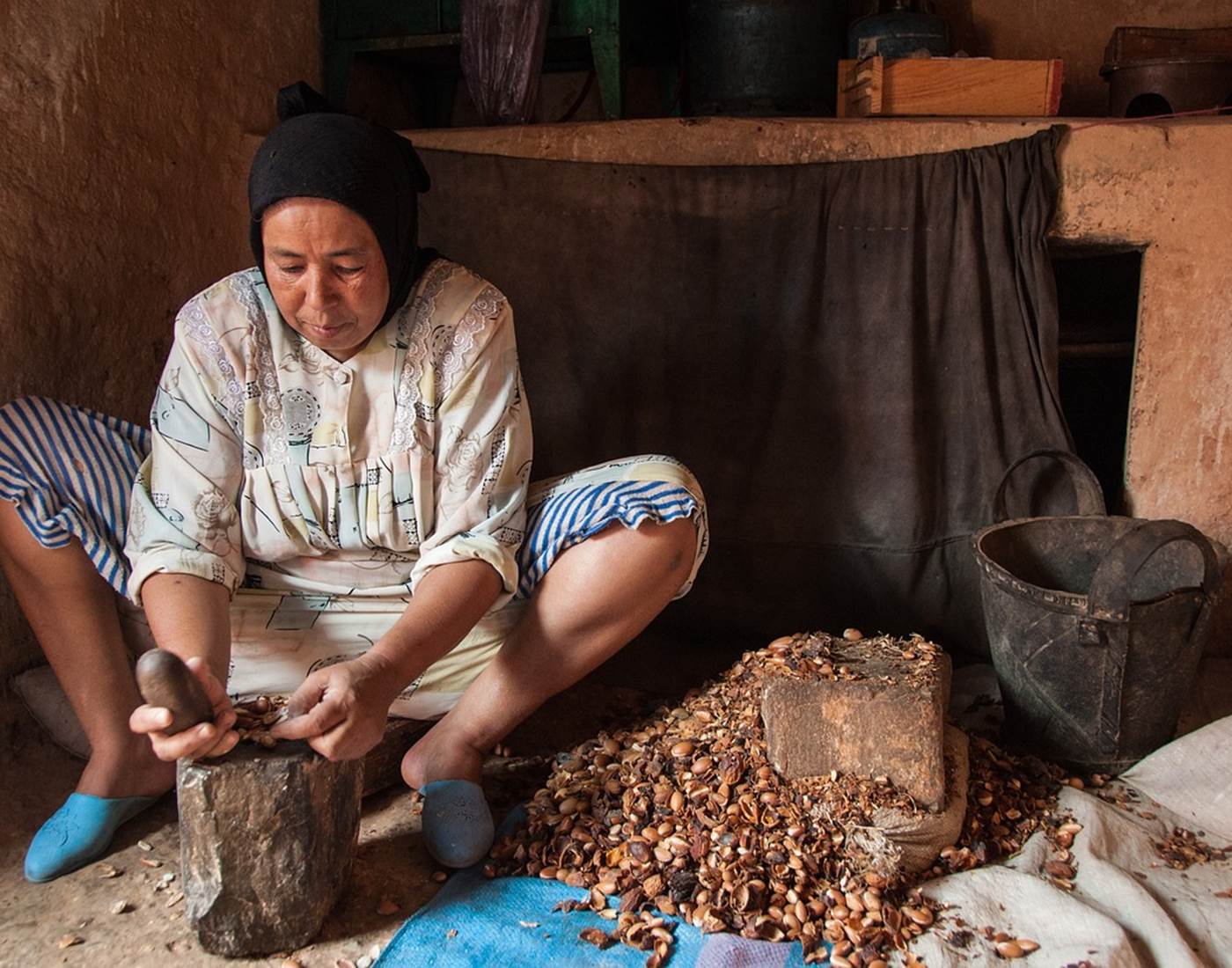 L'Arganier : Un Élixir de Jouvence