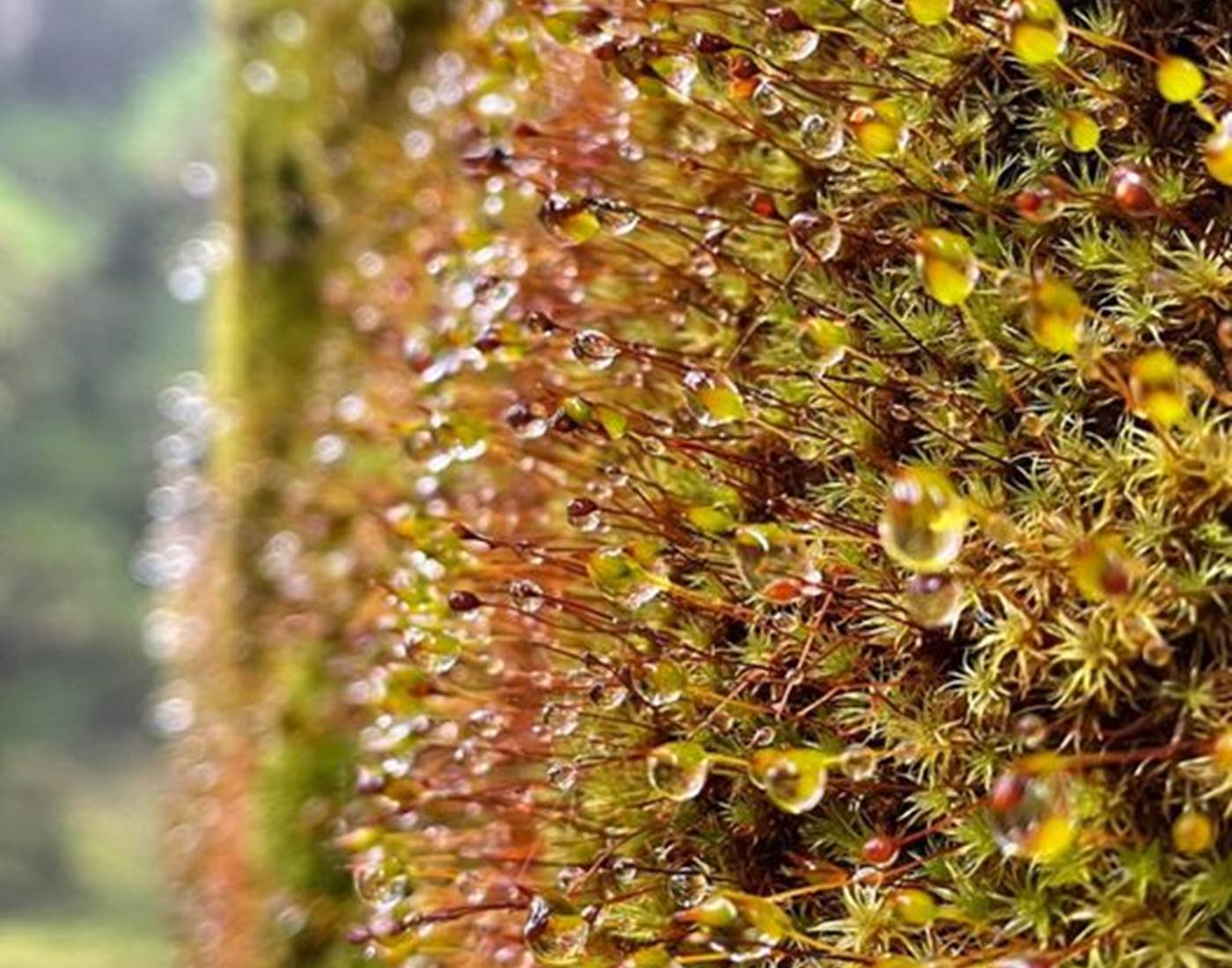 Vibrer, entrer en résonnance
