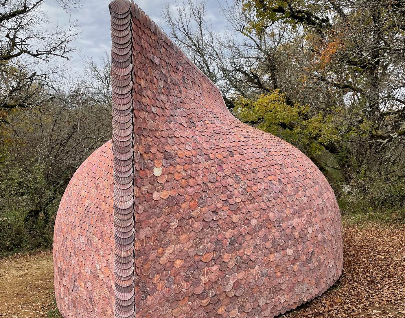 Pecten Maximus à Limogne