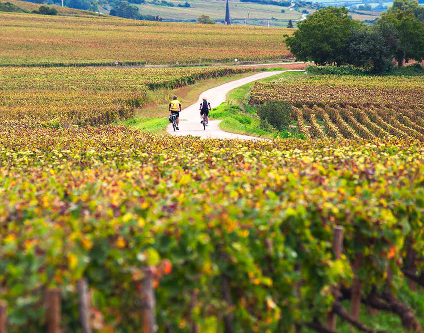 Cyclotourisme en Bourgogne