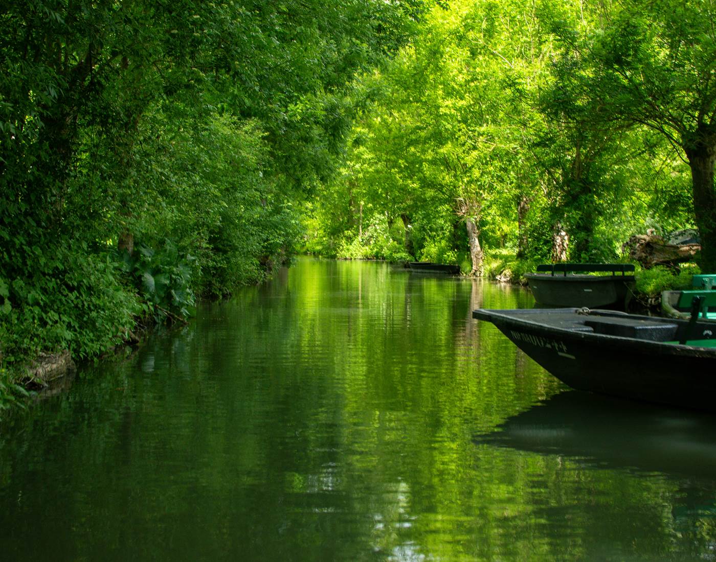 Le Marais Poitevin