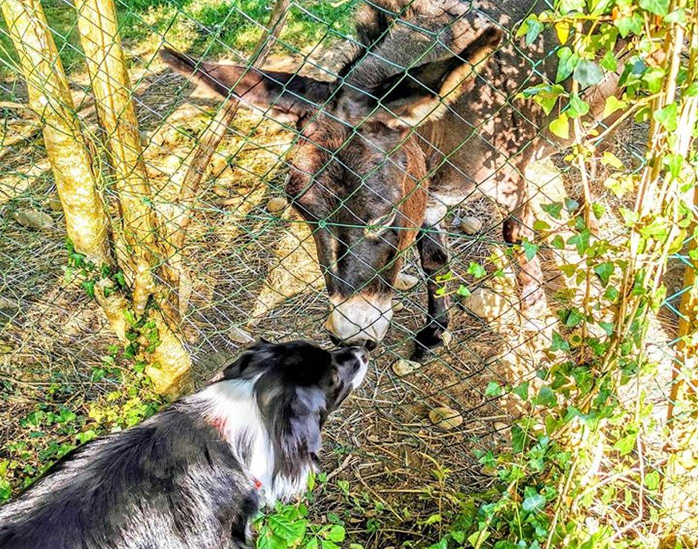 toutes-races-bienvenues