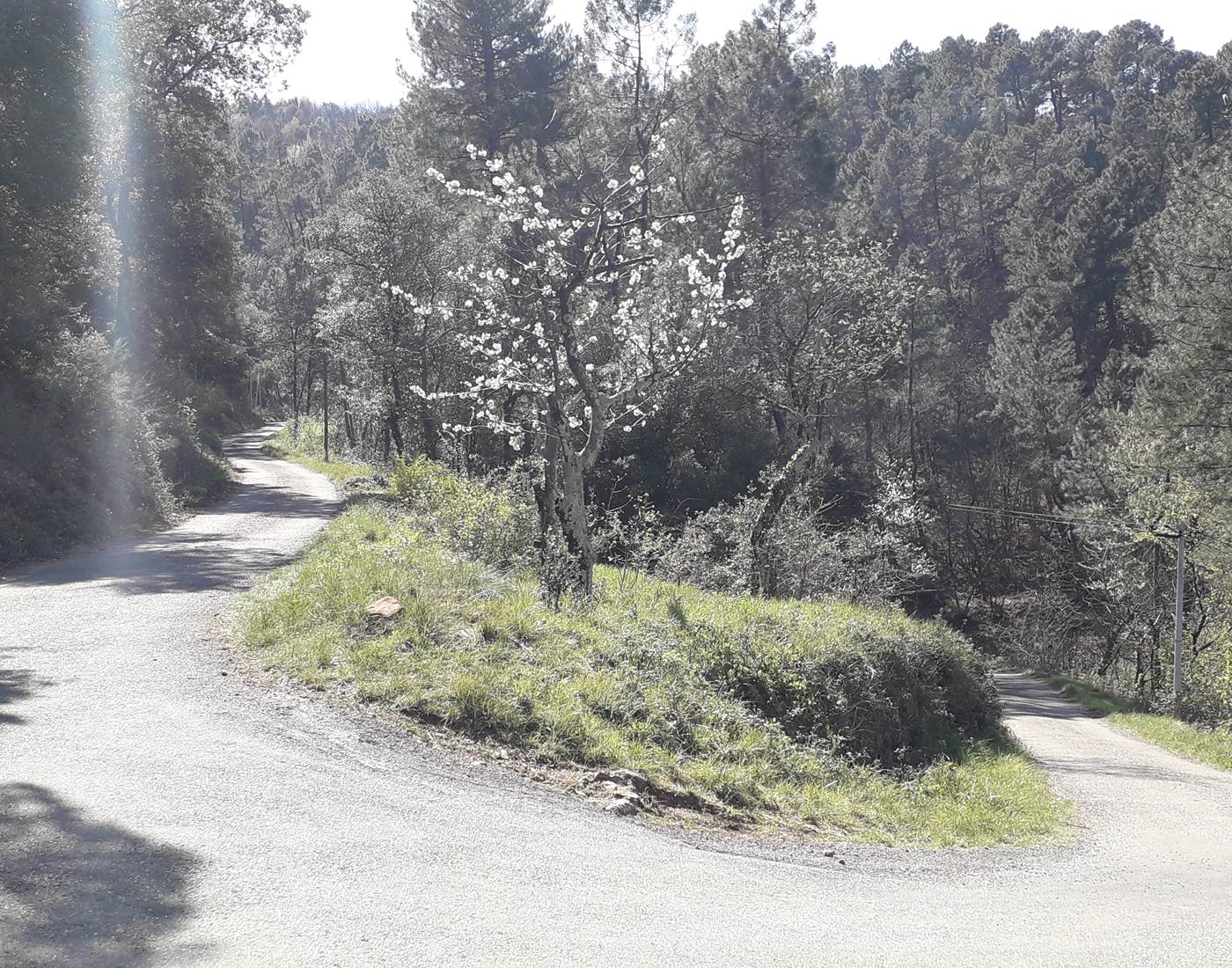 Chemin de randonnée...