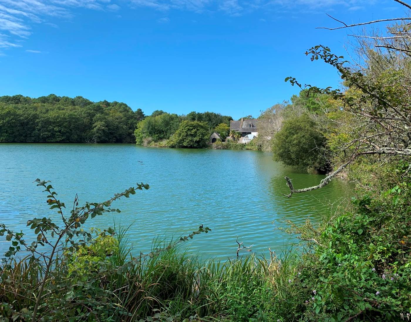 Ploemeur - Etangs et bois du Ter - Promenade vélo - 1