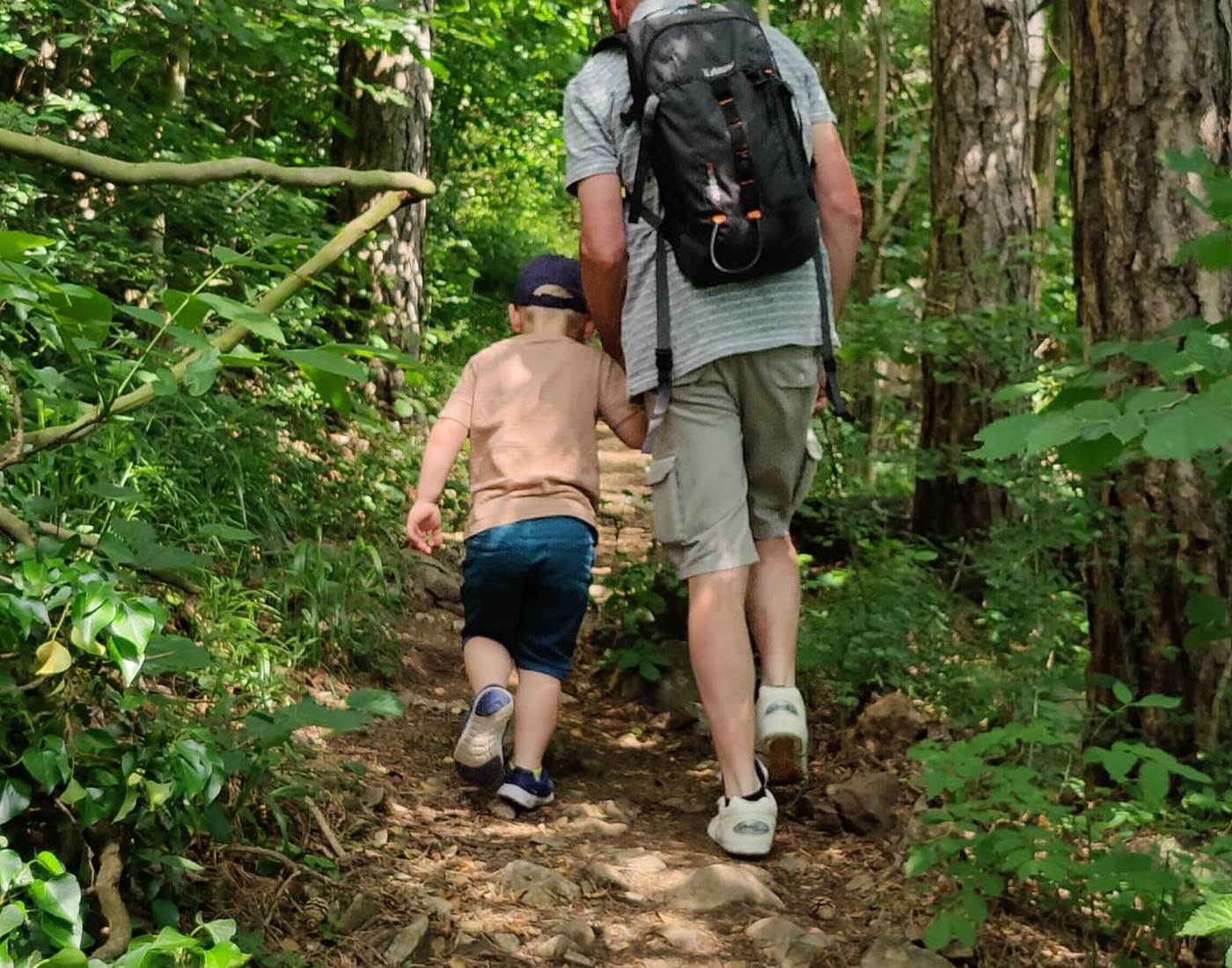 Un petit coup de main pour la montée