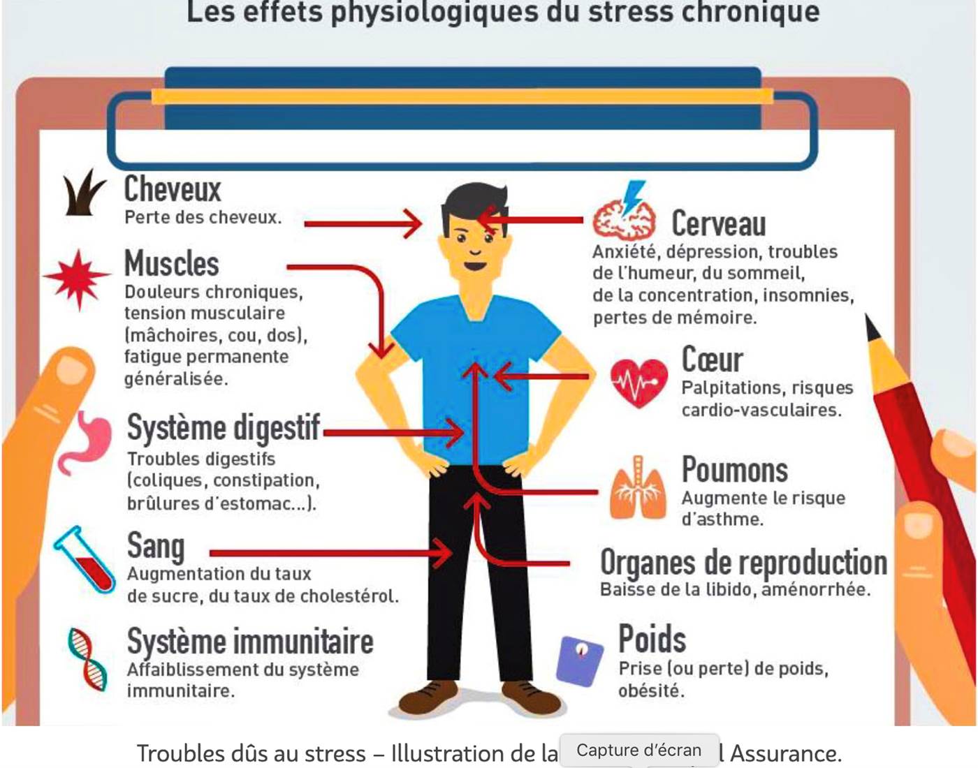 de quelques symptômes causés par le stress chronique-page