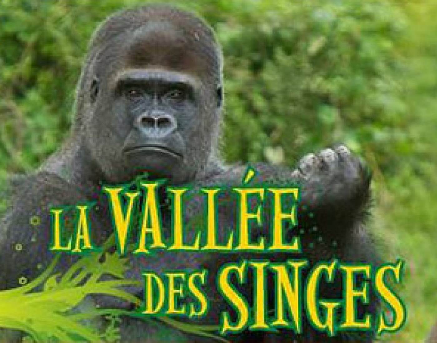 vallee-des-singes-7-page