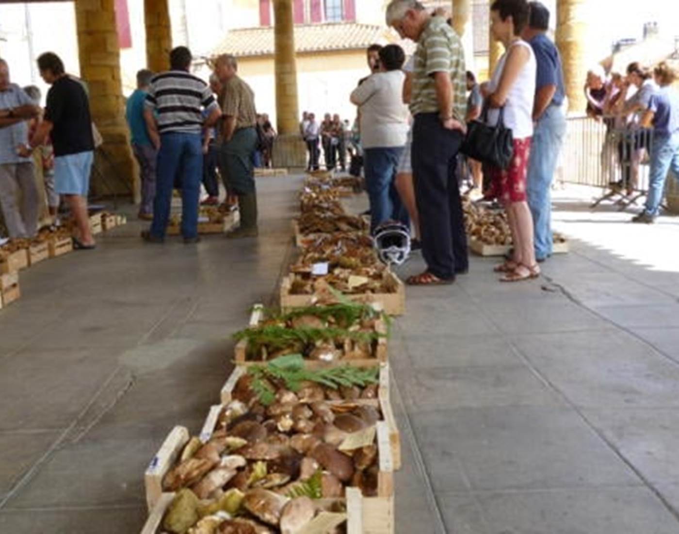 Marché aux Cèpes Villefranche du Périgord-page