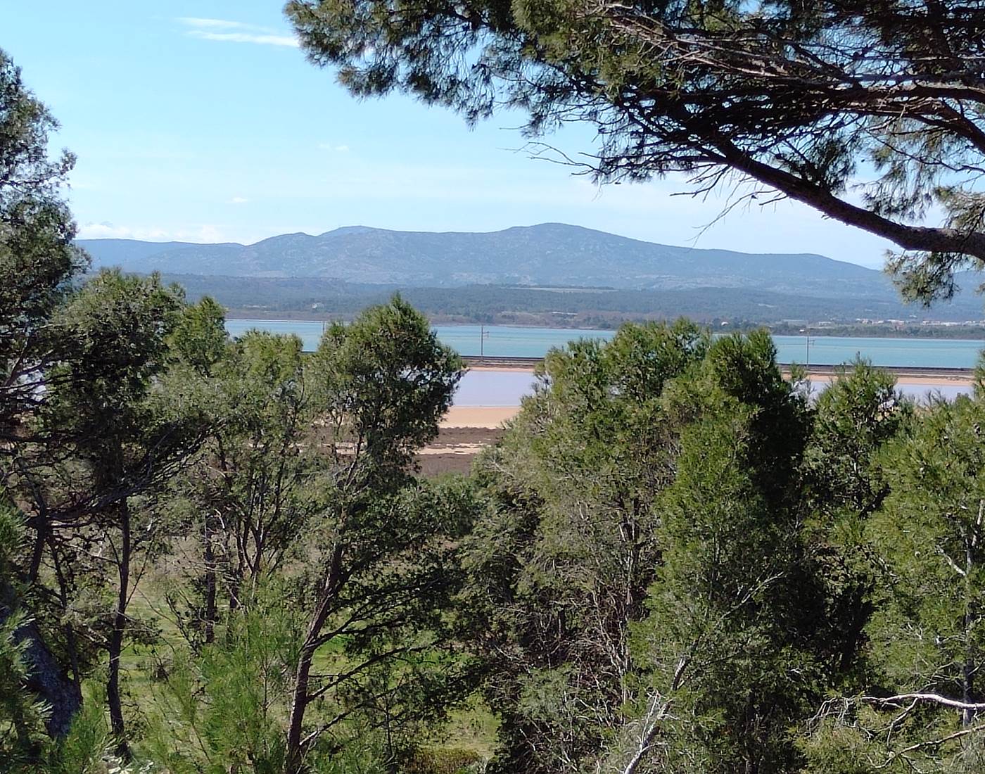 le Coq du Nord -Mailhac part en balade