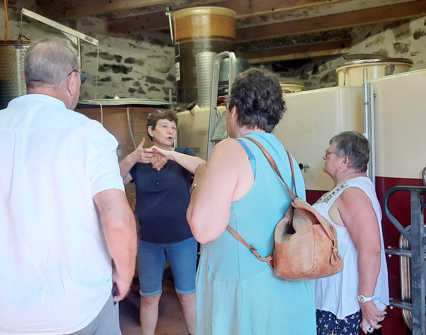 À la découverte du vin 🍷🍷🍷