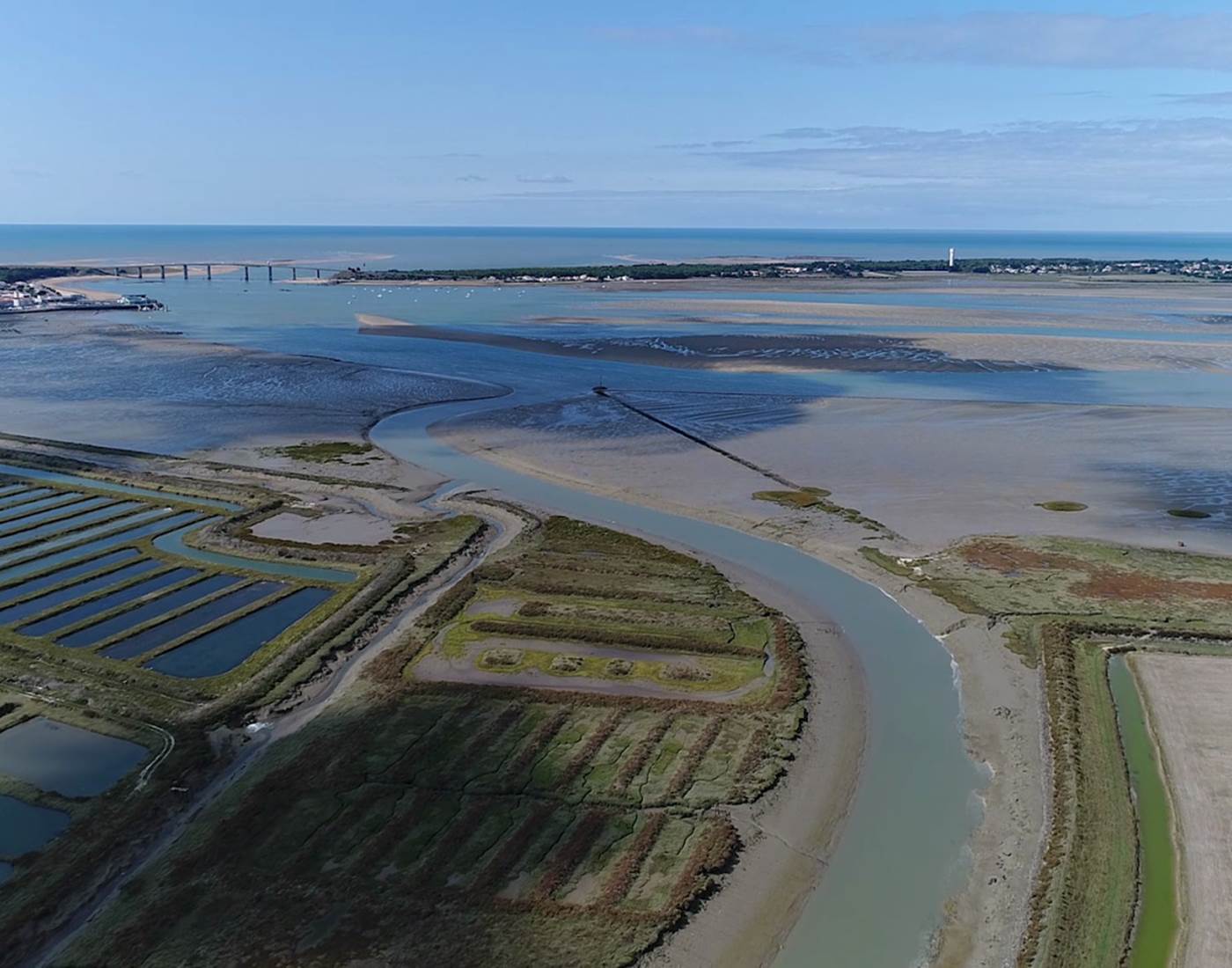 fromentine-labarredemonts (3) (1)