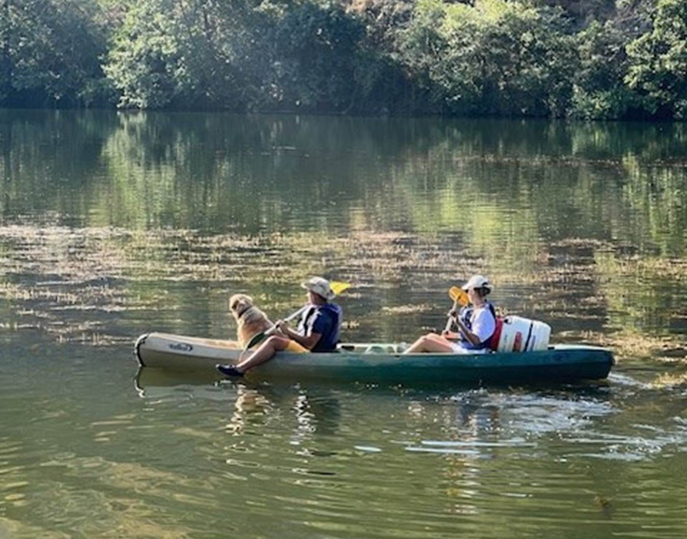 chien-canoë-ardeche-kayak-vallon-pont-arc-alain-bateaux-news