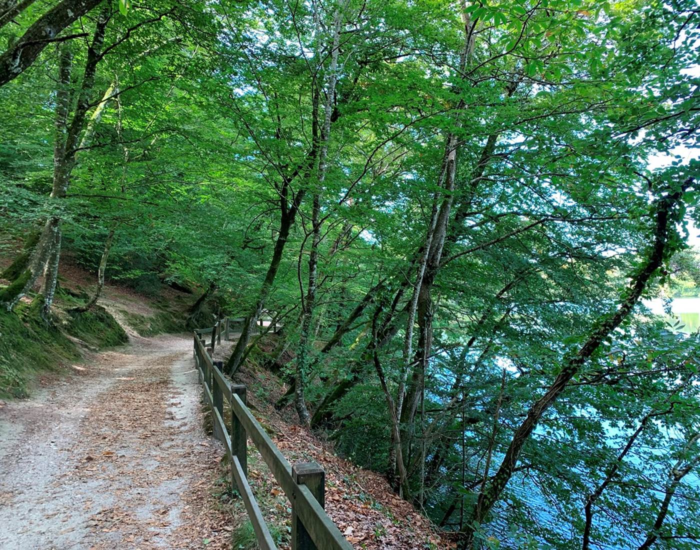 Ploemeur - Etangs et bois du Ter - 4