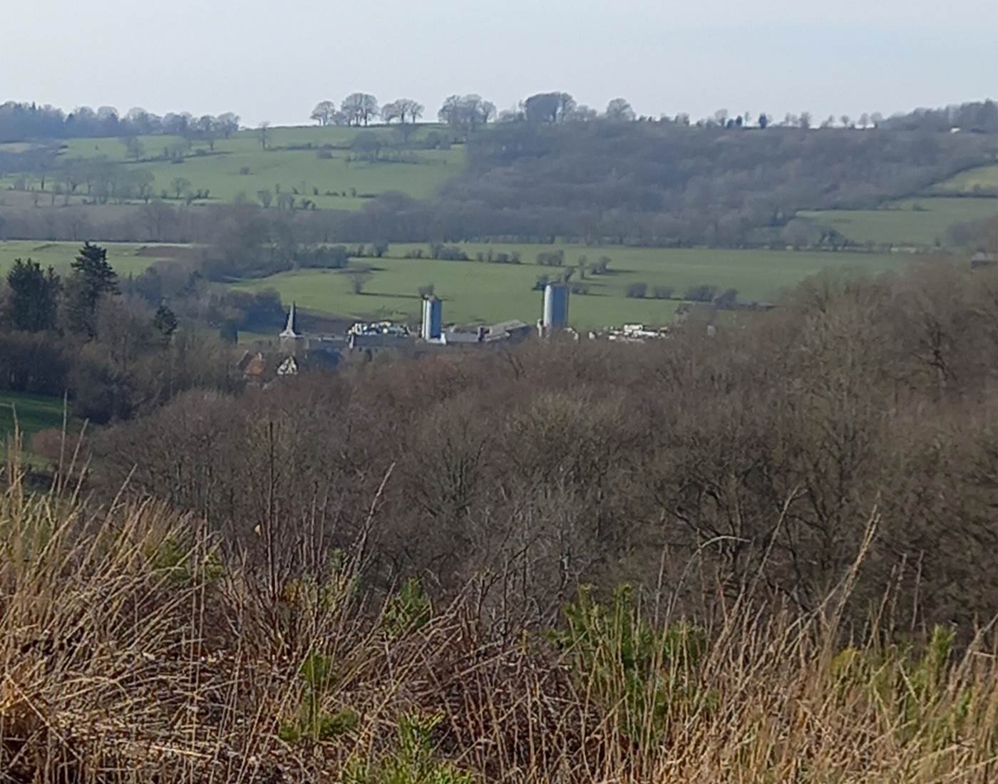 Vue sur Deigné (Deigné fleuri)