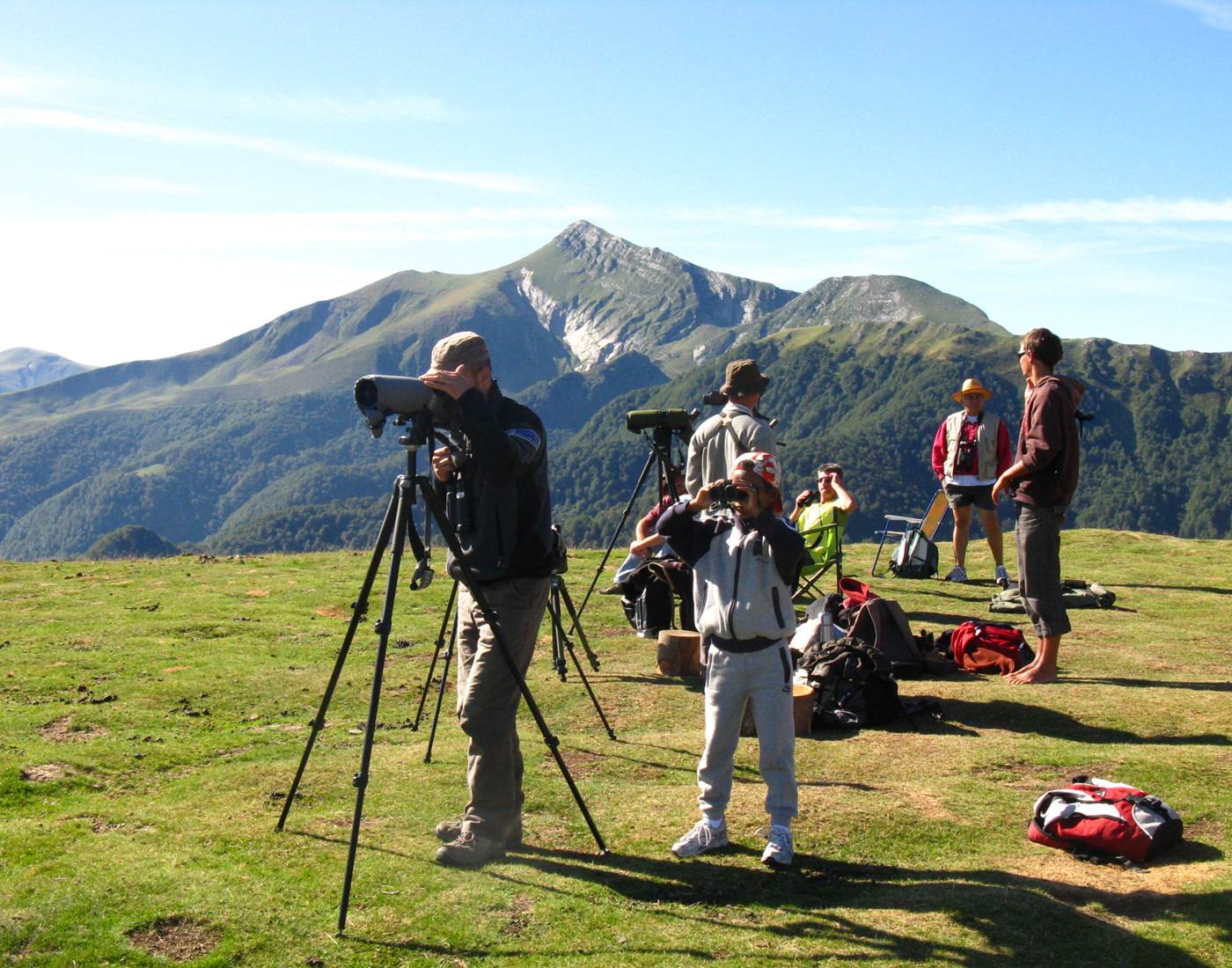 Visite_comptage oiseaux migrateurs avec la LPO
