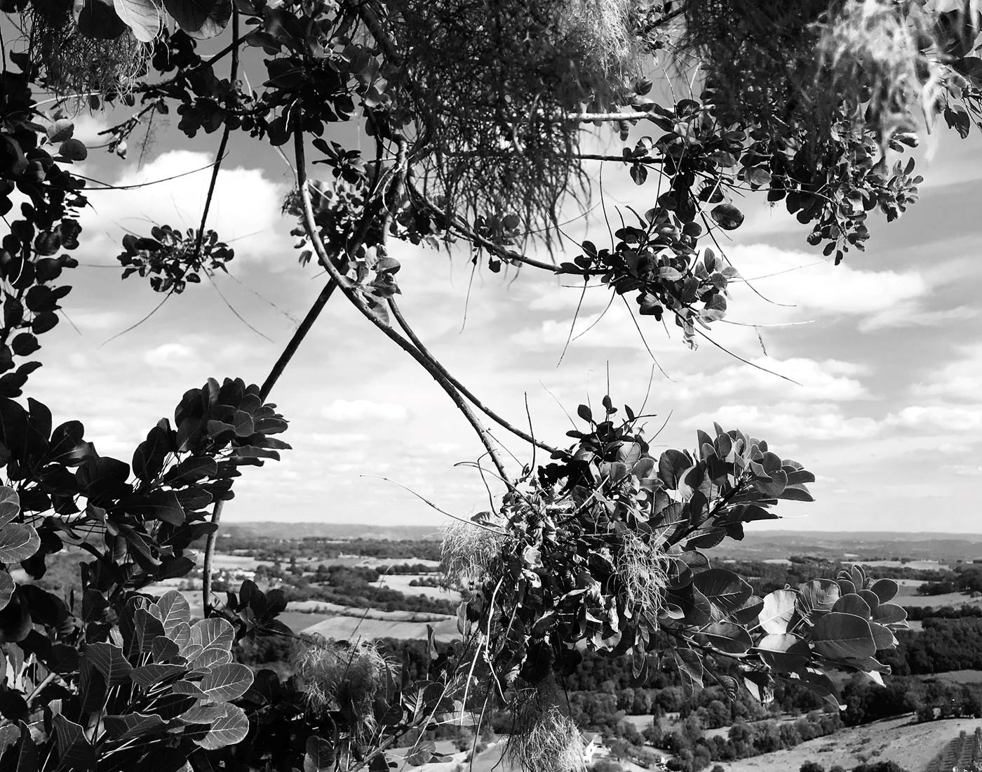 Vue depuis le jardin du château de Turenne
