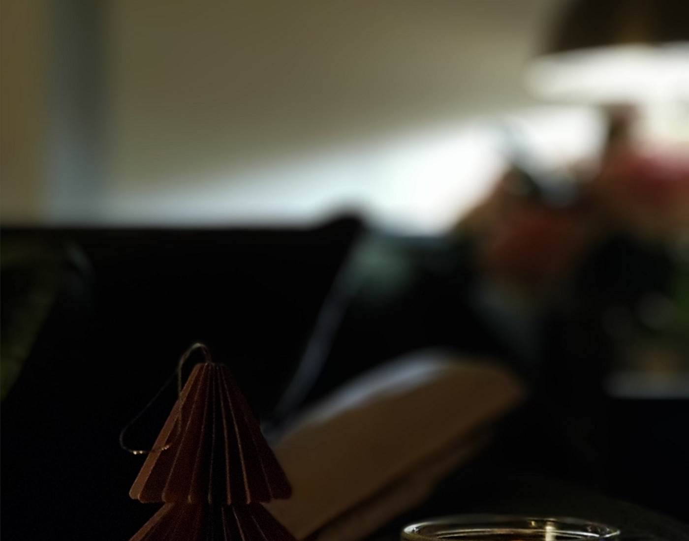 Détail Salon du Chalet Noël 2024