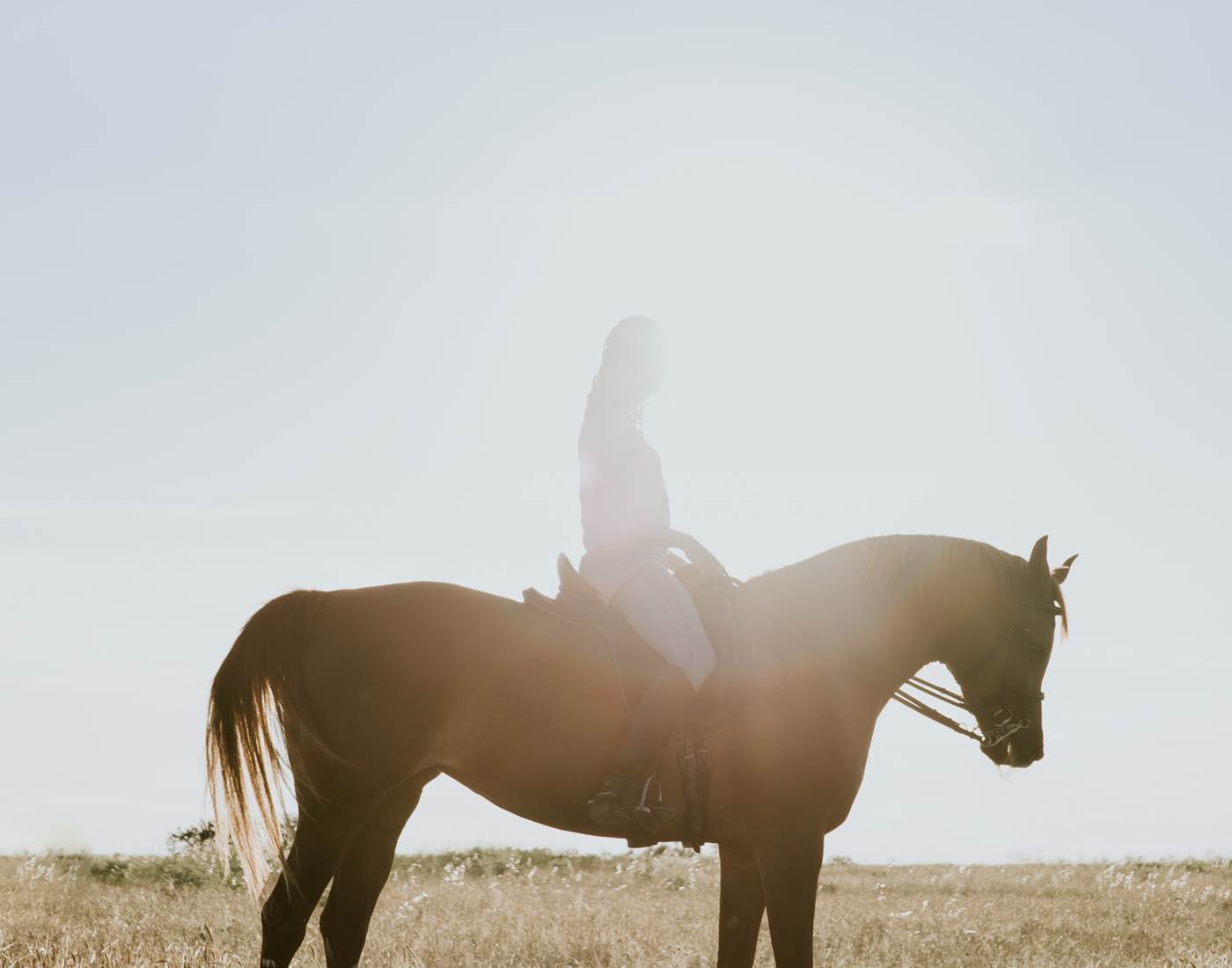 randonnées à cheval Oise Chateau d'Auteuil crédit photo Fernando Puente