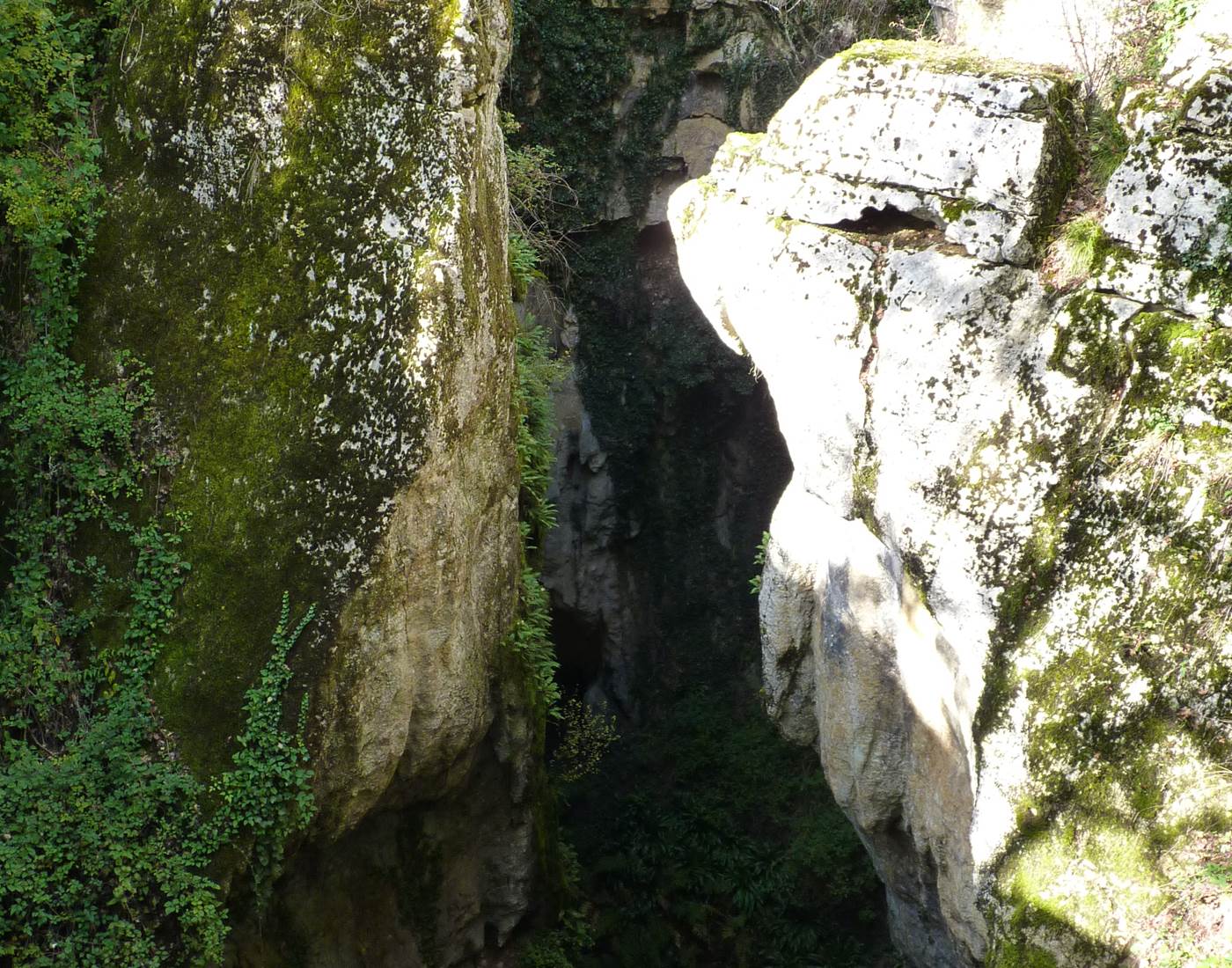 Phosphatières de Bach-page