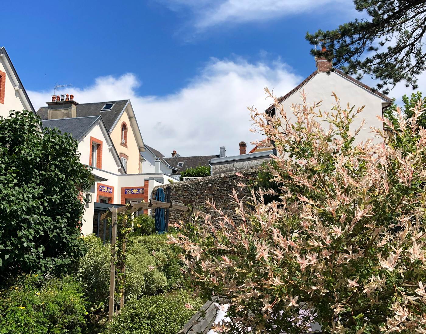 la-cotentine-granville-bnb-chambre-hote-jardin