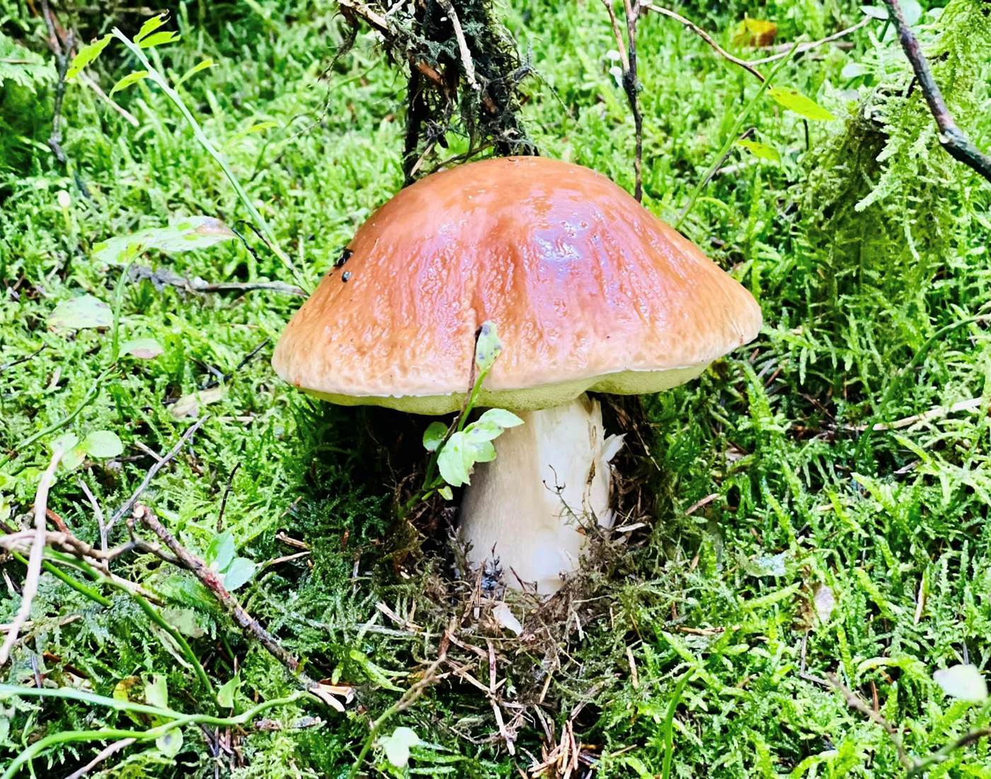 307980216_470101248466684_5070911193978298475_n