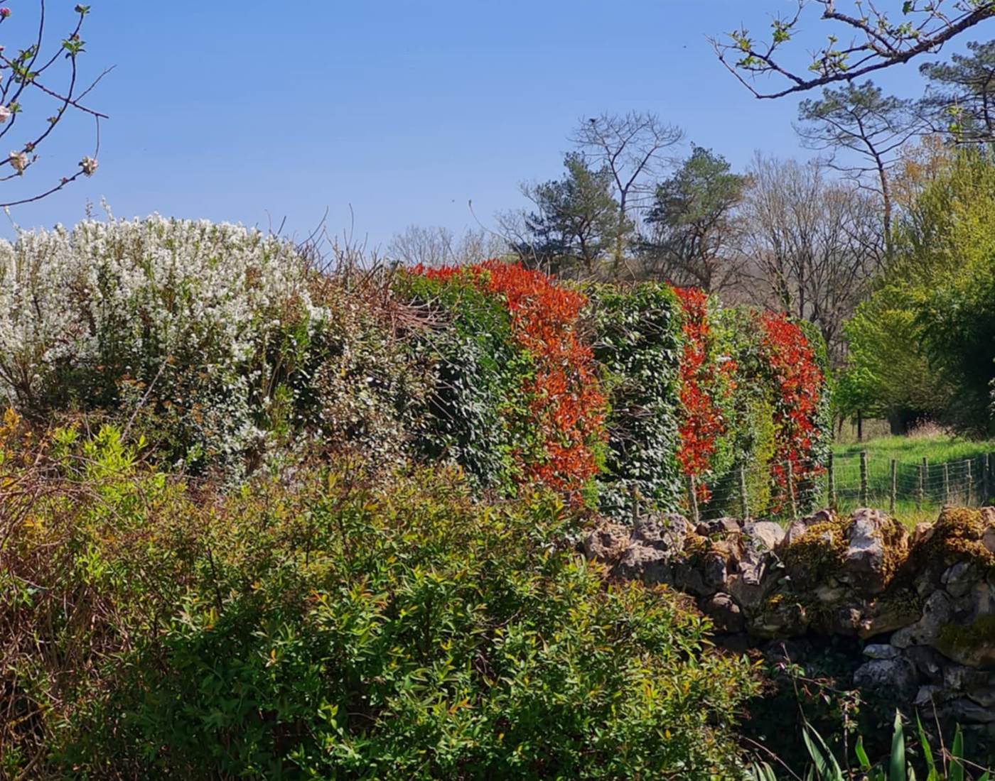 Dordogne. Le champ de l'Hoste. Printemps.