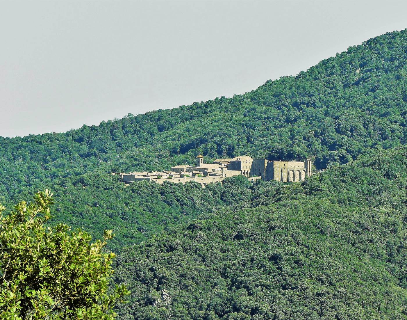 La Chartreuse de la Verne