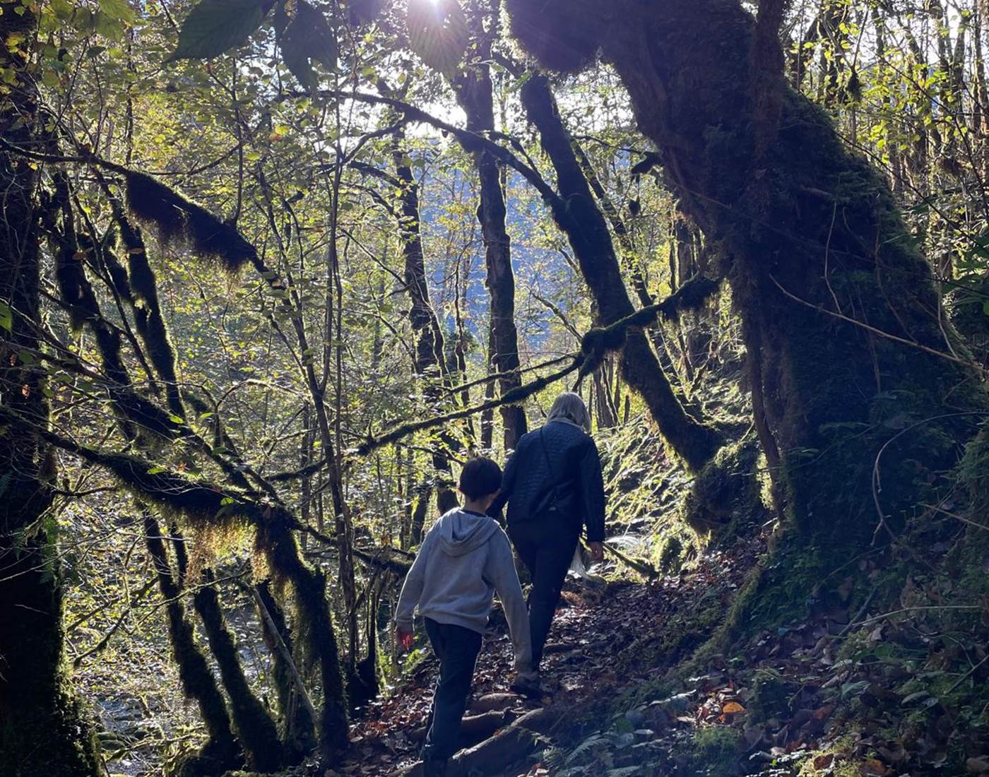 La Gourgue d'Asque-news