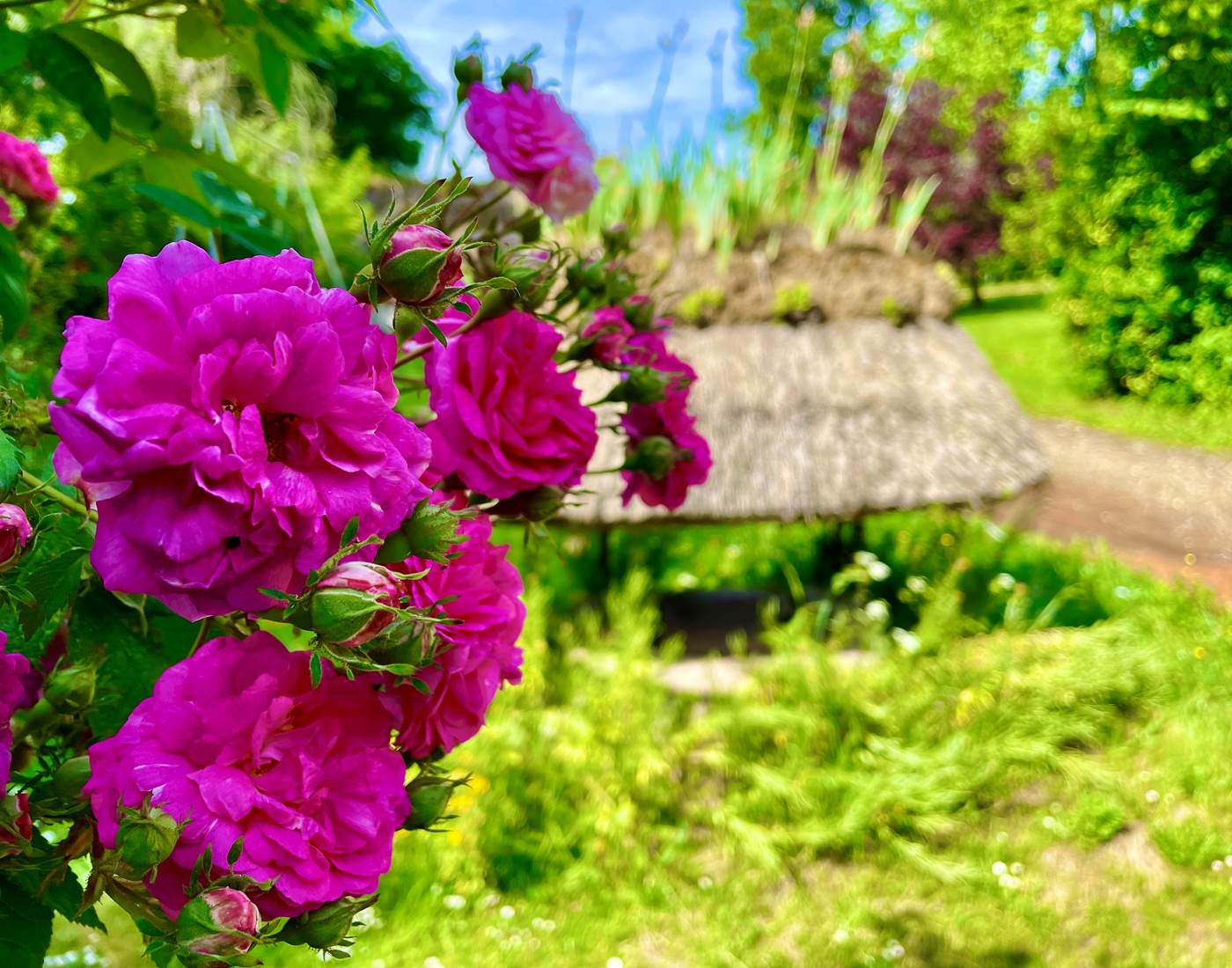 Le printemps est là !