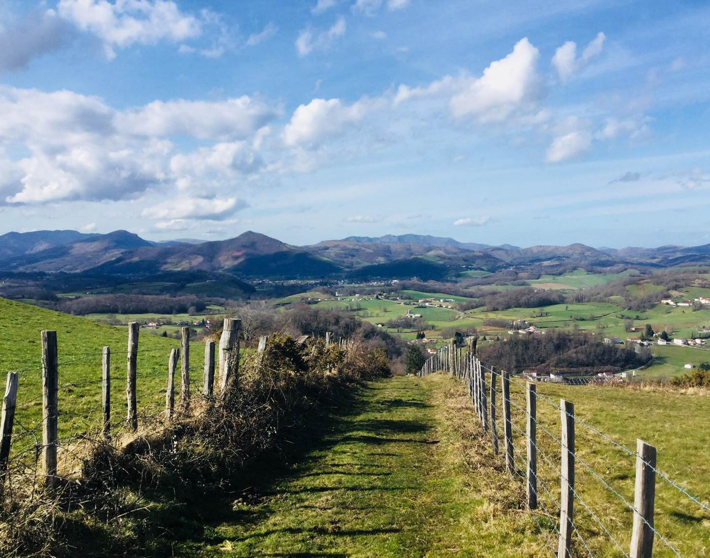 65 rando 64 chiens admis