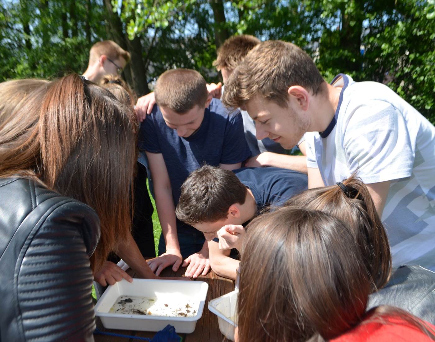 sensibilisation-environnement