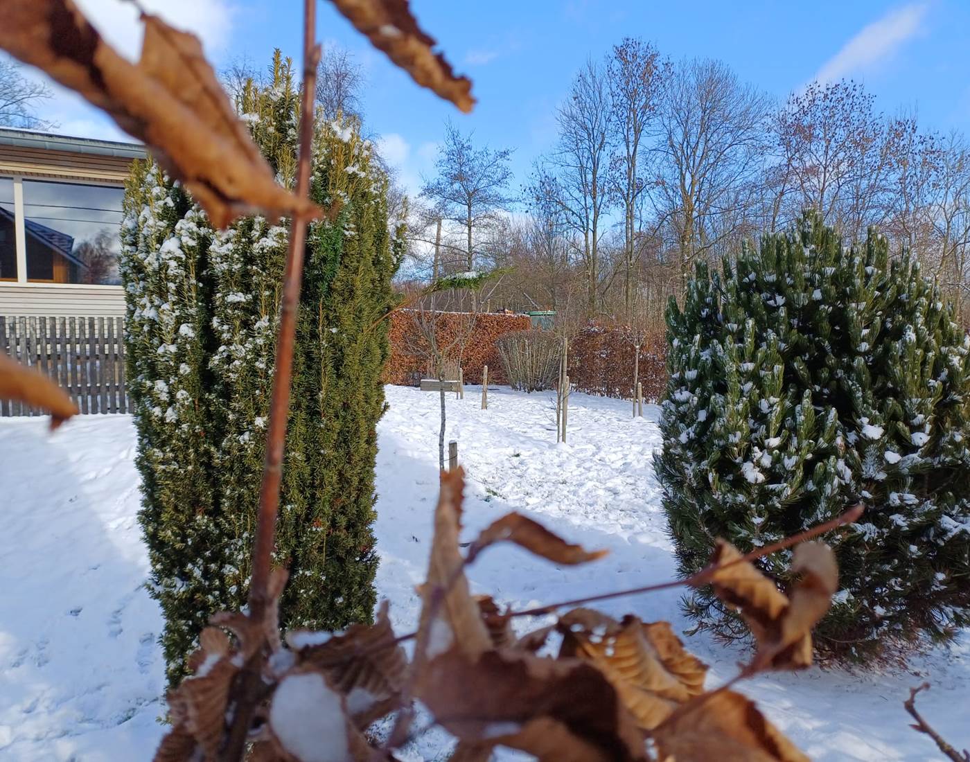 Quel beau jardin, tout blanc !