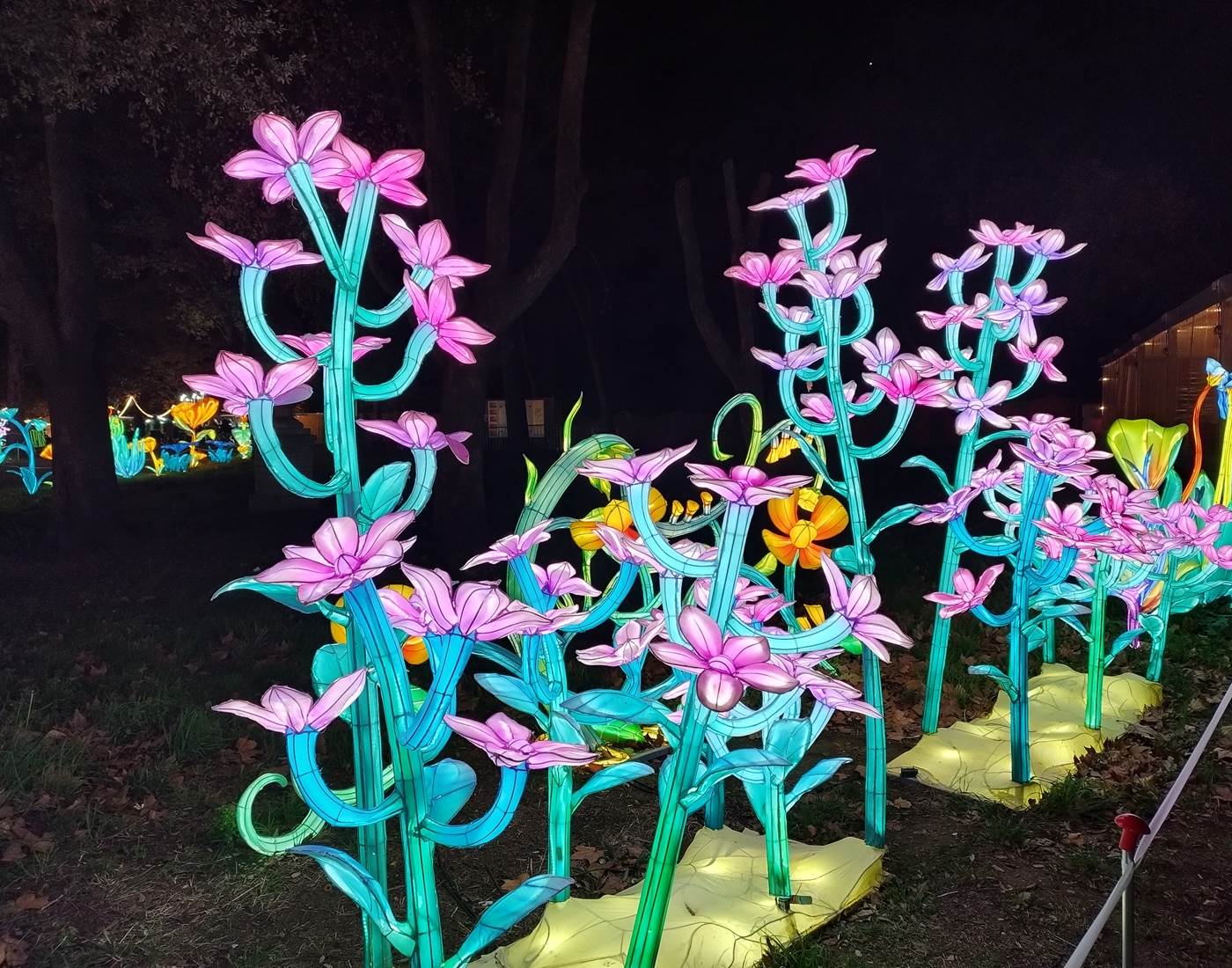 Les Splendeurs de Chine à Céret