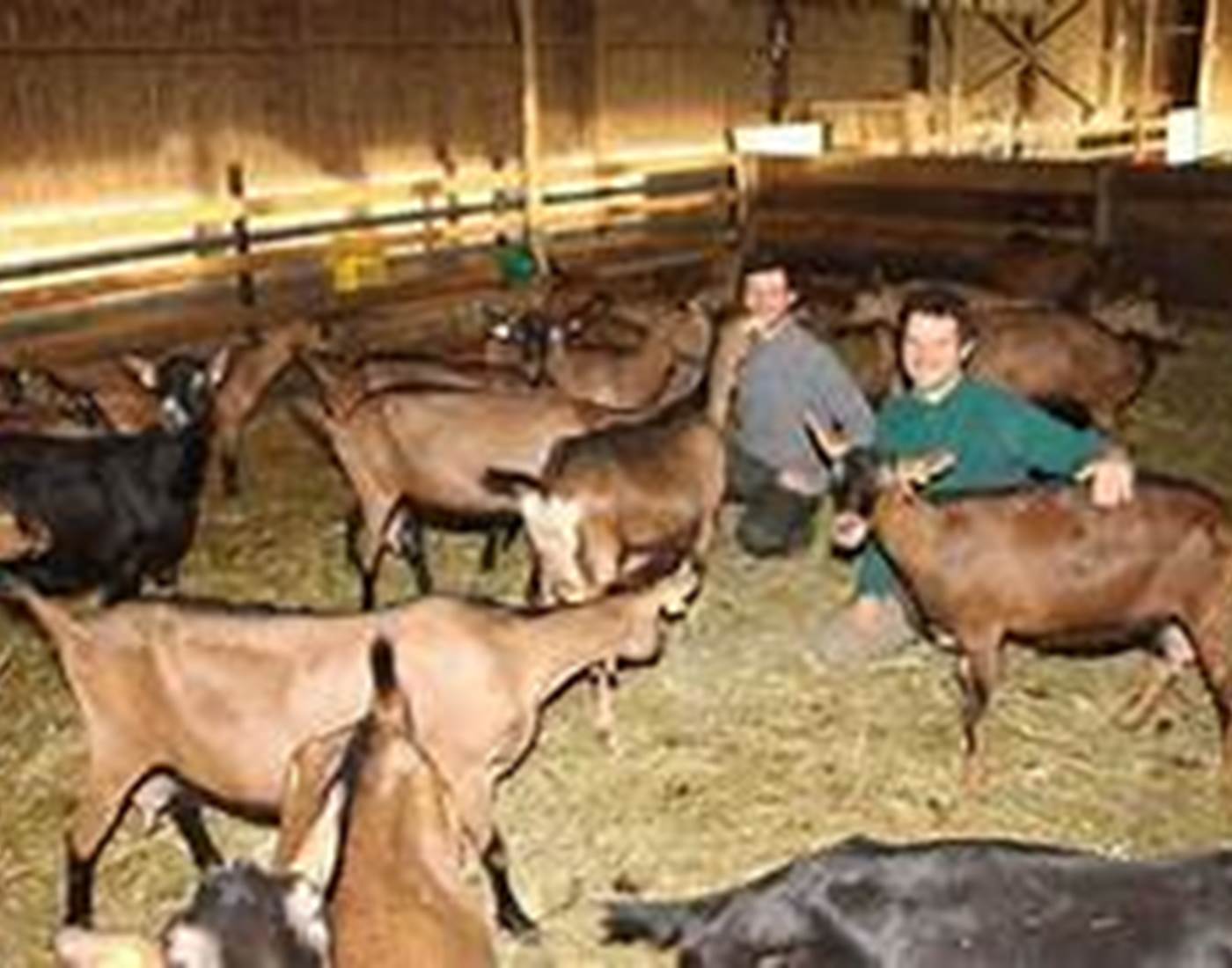 La ferme de la Tibauderie