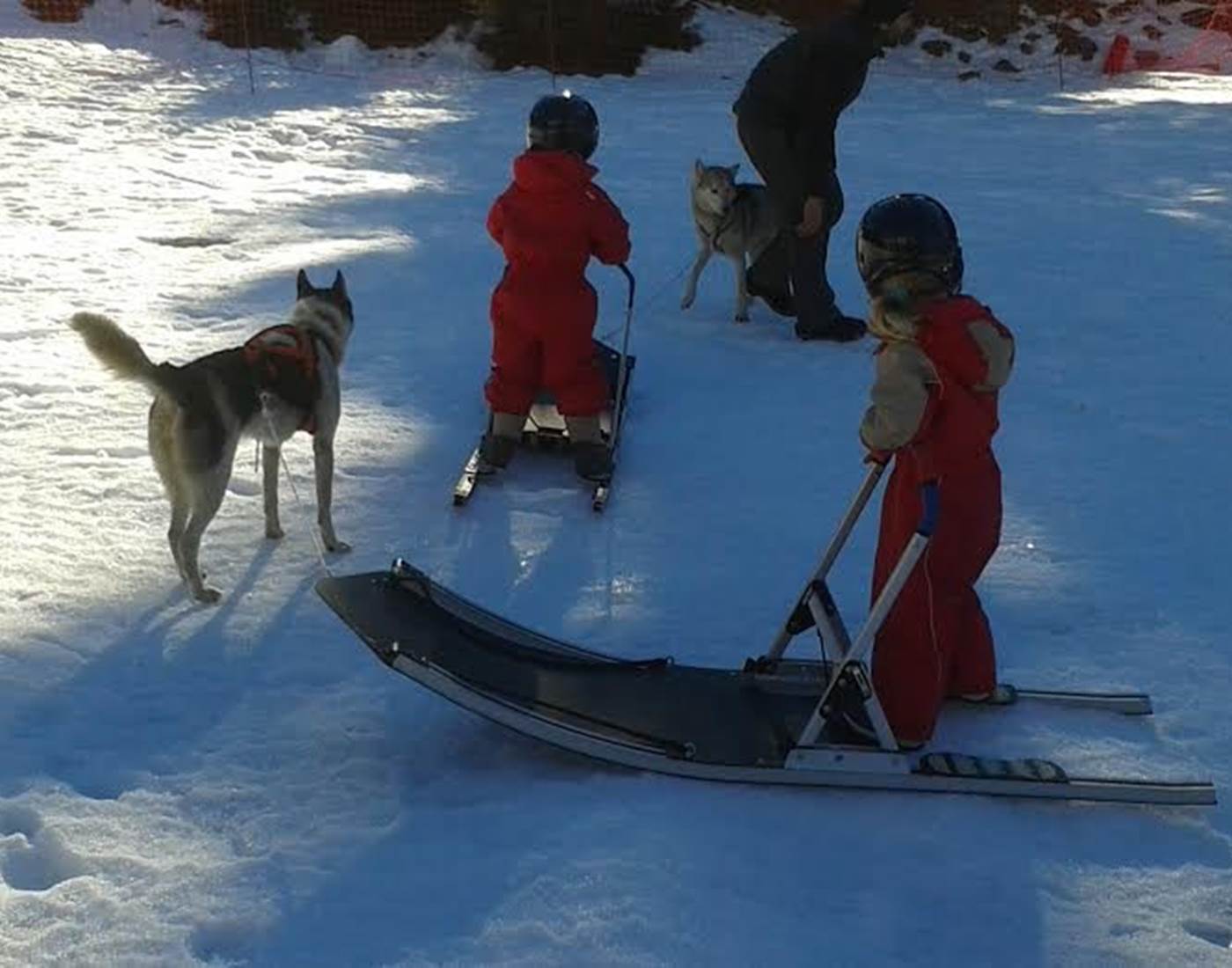Bareges Chiens de traineau enfants ©OT GTPM