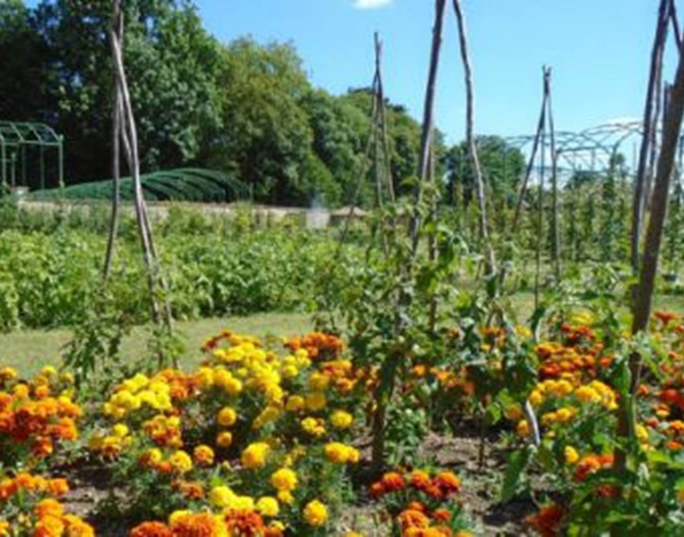 LES VERGERS-POTAGERS