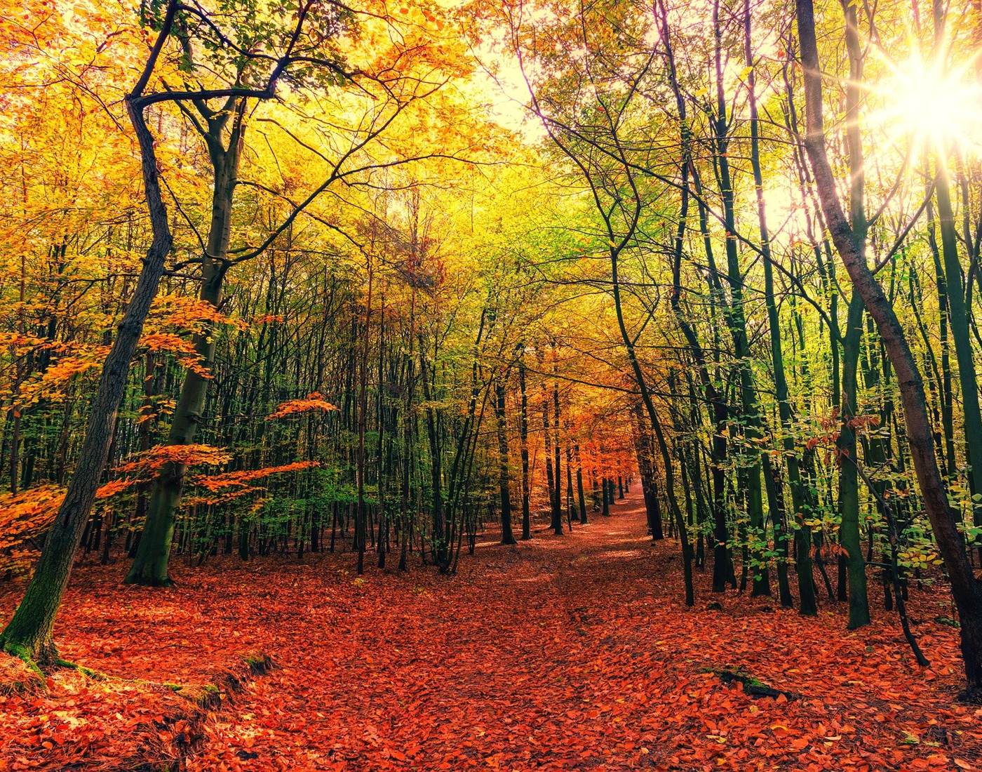 L'automne en Ardenne